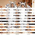 thumbnail image 3 of Ruyang Kids Plush Hooded Jumpsuit Dog Long Sleeve Jumpsuit Plush Dress Up Wear Fall Winter Clothes for Boys Girls, 3 of 4