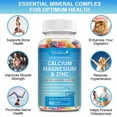 3 Packs Calcium Magnesium & Zinc Gummies Support Bone Muscle Immune