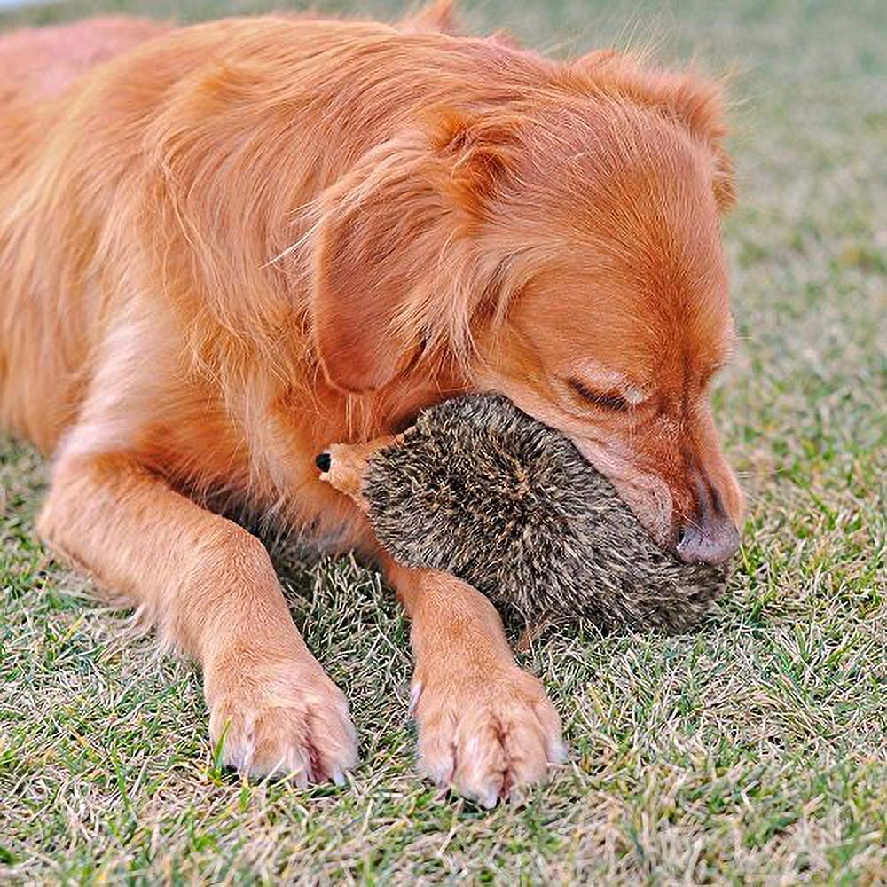 ZippyPaws Hedgehog Squeaky Plush Soft and Flurry Dogs Toy Brown X-Large 12 inch
