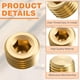 thumbnail image 3 of Juego de 30 Tapones de Tubería Macho NPT de 1/4" con Rosca Hexagonal Interna, Tapones Avellanados Hexagonales para de Extremos., 3 of 5