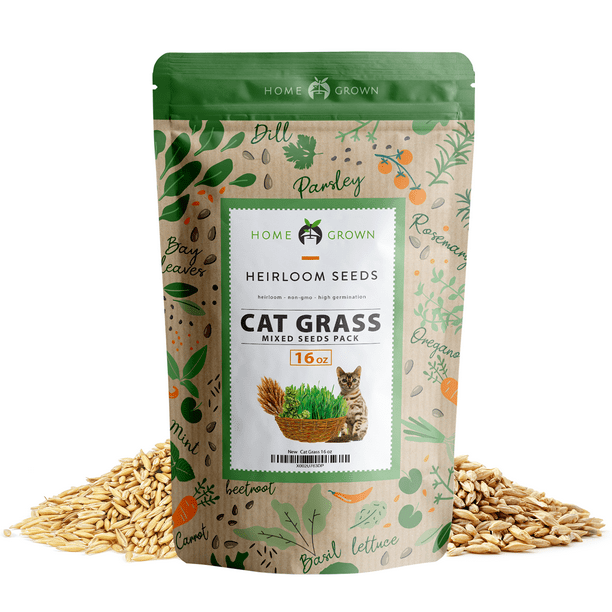Cat Grass Seeds for Indoor Cats Keep Your Pet Happy and Healthy, Grow