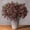 Dusty Plum, variant on 43In Faux Berry Stems for Vase, Flower Picks Faux Branches Fall Decor Floral Picks Stems Realistic Sedum Greenery Stems for Wedding Holiday Farmhouse Harvest DIY Home Decor, 3Pcs, Red