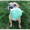 thumbnail image 3 of Pelota SmartPetLove de juguete para perros Snuggle Tender-Tuffs, 3 of 9