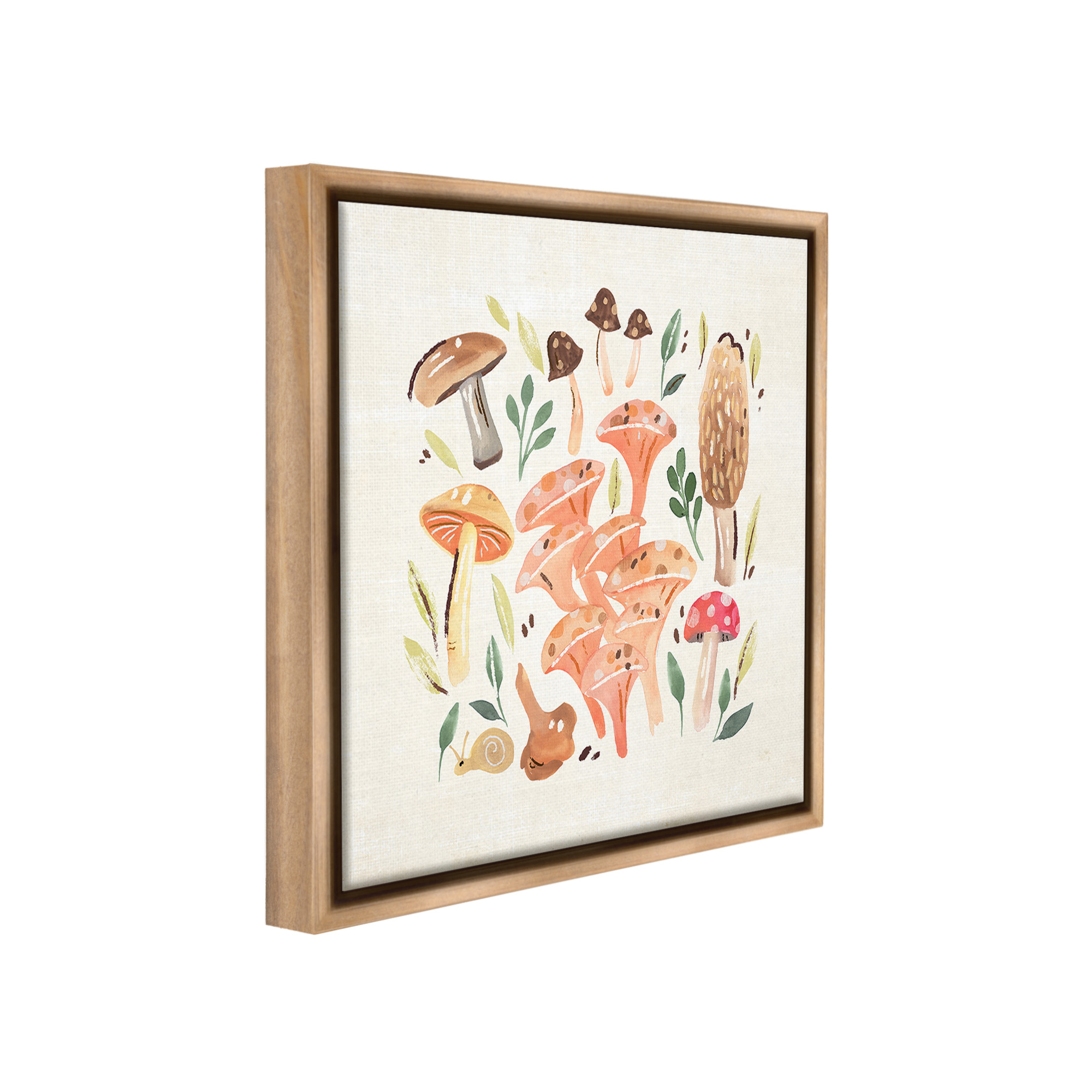 Stupell Industries Varied Mushrooms & Snail Botanical & Floral Painting Brown Floater Framed Canvas Art Print Wall Art, 18 x 18