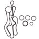thumbnail image 3 of Exquisite O'ring Gasket Set of LR040738 for Land 4 Sport 3.0 V6 LR013151 LR013161 LR013162, 3 of 5