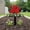 Rose, variant on Metal Memorial Cross Garden Stake, Cemetery Grave Decoration with Red Cardinal & Heart, Miss You Remembrance Plaque for Deceased Relatives, 12"