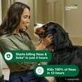 thumbnail image 5 of Credelio Tick & Flea Treatment + Flea Infestation Protection for Dogs 25.1-50.0 lbs. (Green Box), 5 of 20