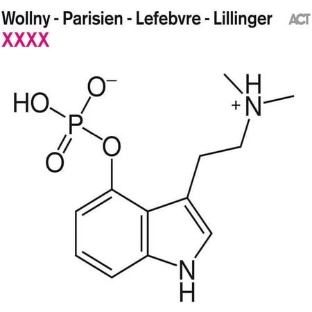 Wollny / Lillinger - XXXX - Vinyl