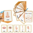 thumbnail image 1 of Body Parts Learning Cards | Body Parts Cards For | English Pocket Card 15Pieces Body Parts Card | Vocabulary Words Flashcard Educational Learning Flashcard For, 1 of 1
