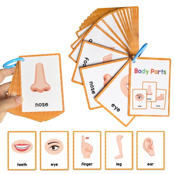 Goowood 15Pieces Body Parts Flash Cards for Toddlers 1-3 Montessori Vocabulary Learning Toys Educational English Pocket Cards for Preschool