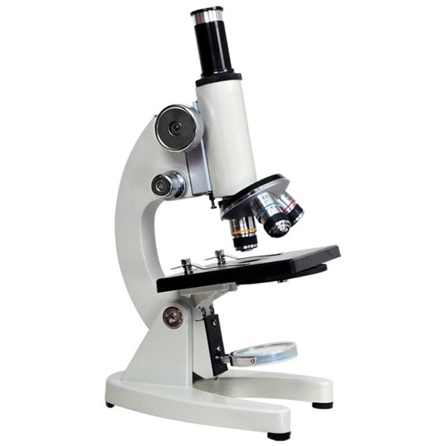 Microscope Magnification Biological 500X Elementary School Students Educational Monocular Microscope Magnification Professional Laboratory Microscope