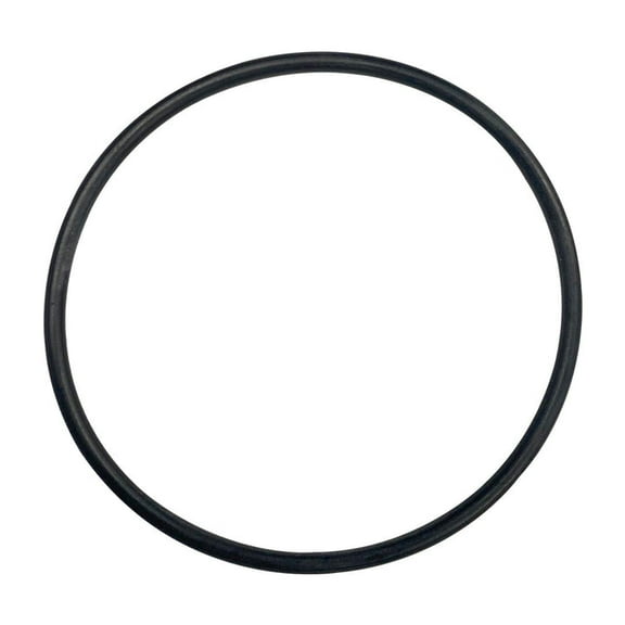 American (57011300) Commander II Cartridge Filter Seal Drain O-Ring || O-319
