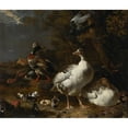 thumbnail image 2 of Melchior d'Hondecoeter 17x15 Gold Ornate Wood Frame and Double Matted Museum Art Print Titled - Geese and Ducks (C. 1680), 2 of 4