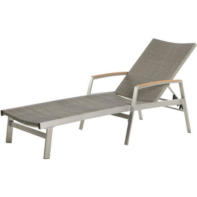 Noble House Chaise Longue en Osier et Aluminium pour Extérieur Gris