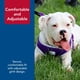thumbnail image 5 of Arnés para perros Coastal Pet Comfort Soft Reflectante Morado, 5 of 9