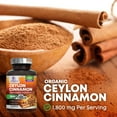 thumbnail image 4 of Organic Ceylon Cinnamon Capsules - Extra Strength Certified Organic Ceylon Cinnamon 1800mg Per Serving Supplement Pill - Energy & Heart Support Antioxidant for Women & Men, Bottled USA - 120 Capsules, 4 of 10