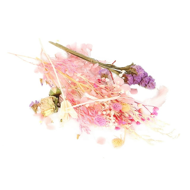 Material Para Hacer Ramos, Flores Secas De Secado Al Aire De Fragancia Tenue Natural Pura Brillante Y Vívida Para Decoración De Ropa Para Equipaje OTVIAP Rosa (# 1)