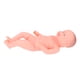 thumbnail image 5 of Muñeca Bebé, Entrenamiento De Enfermería, Muñeca De Bebé Suave Ampliamente Utilizada, Plástico Suave De Alta Simulación Para Entrenamiento De Partera Para Enfermera Anggrek Baby Doll, 5 of 8