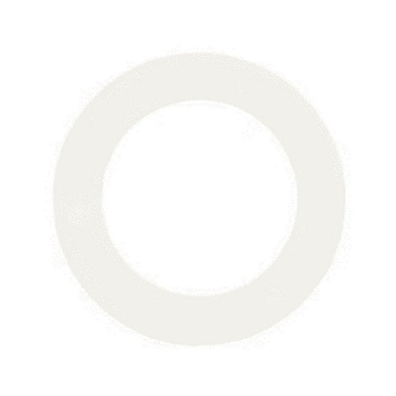 NEW Refrigerator Door Hinge Nylon Washer 240311303 Frigidaire