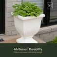 thumbnail image 4 of Augusta 16" x 16" x 20" Square Black Tall Polyethylene Self-Watering Planter, 4 of 11