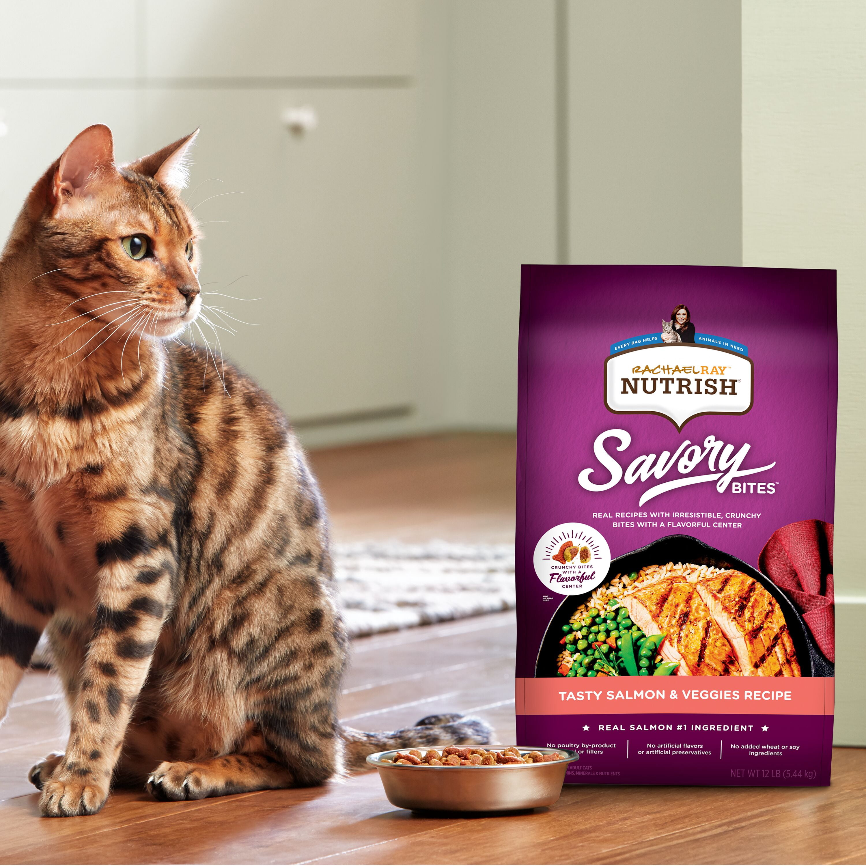 Rachael Ray Nutrish Savory Bites Tasty Salmon & Veggies Recipe Natural Food for Adult Cats, 2.5 lb