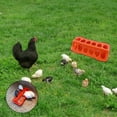 thumbnail image 5 of Comedero para pollos de 12 agujeros Artículos prácticos y convenientes para el hogar Un comedero, 5 of 5