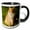 Black/White, variant on 3drose, Orange Tabby Cat, Florida, Usa - Us10 Mpr0245 - Maresa Pryor, 11oz Mug
