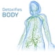 thumbnail image 4 of Rodilleras Autocalentables Rodillera De Talla L Con Acupresión, Calor Y Material Transpirable Para Aliviar El Dolor Articular Durante La Actividad Física (2 Unidades) Rkxzt, 4 of 8
