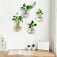 thumbnail image 2 of Mkono Wall Hanging Planter Propagation Station Glass Flower Vase for Hydroponics Plants,Oblate Set of 4, 2 of 7