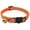 Orange, variant on Pet Reflective Collar with Bell Safety Buckle, Adjustable Neck Strap for Small Medium Dogs Cats(Black)