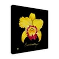 thumbnail image 2 of Trademark Fine Art 'Vivid Orchid VII' Canvas Art by Ginny Joyner, 2 of 4