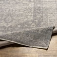 thumbnail image 5 of Hauteloom Tusa Living Room, Bedroom Area Rug - Traditional - Light Gray, Ivory, Black - 5'3" x 7', 5 of 10