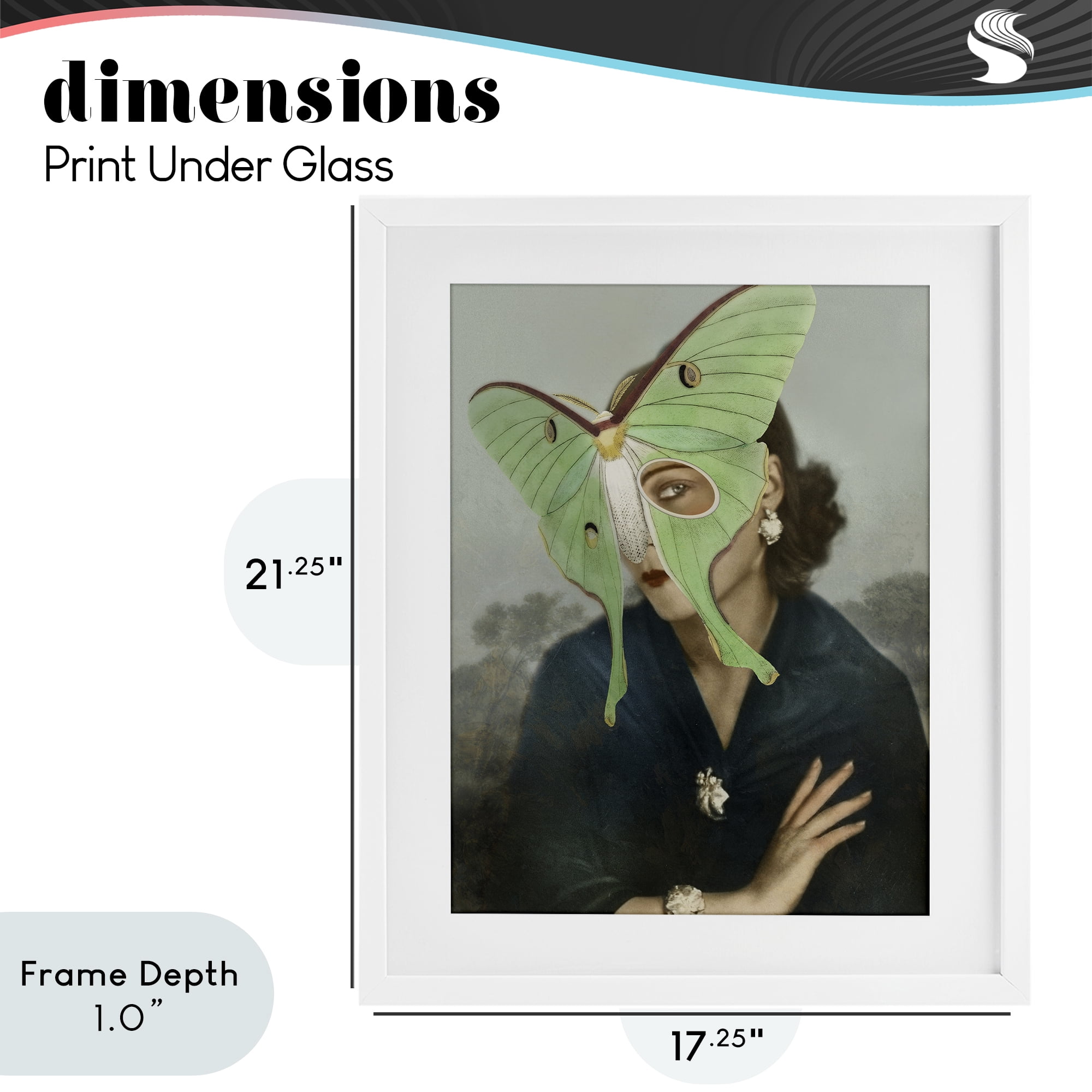 Stupell Industries Naturalist Portrait with Moth White Framed Print Under Glass, design by Victoria Barnes