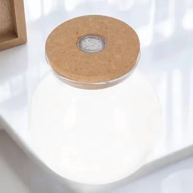 Minkissy 1Ensemble Petit Bol à Poisson Lumière Led Support de Rangement en Verre Borosilicate