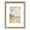 Gold, variant on 5x7 Picture Frame, Gold – Displays 4x6 or 5x7 Photos, Ornate Frame for Wall or Tabletop Display
