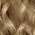 thumbnail image 5 of Clairol ColorStrong Permanent Zero Ammonia Hair Dye, 8.1 Medium Ash Blonde - Key West Hair Color, 1 kit, 5 of 6