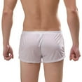 thumbnail image 3 of Men's Boxer Briefs Men S Nylon Underwear Men Microfiber Briefs Trunk Brief Bears Size Medium Soft Underwear for Full Cut y Son Nasty Pig Brief Large Pouch Mens Thin White M, 3 of 9