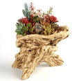 thumbnail image 4 of Boîtes de Jardinière Extérieures Grandes 60 Plateaux avec Jardinière Verte Pot de Fleurs en Résine Aspect Racine Pot de Fleurs Personnalité Pot de Fleurs Charnu Jardinage Familial Décoration de Table Design Artistique Élégant, 4 of 6