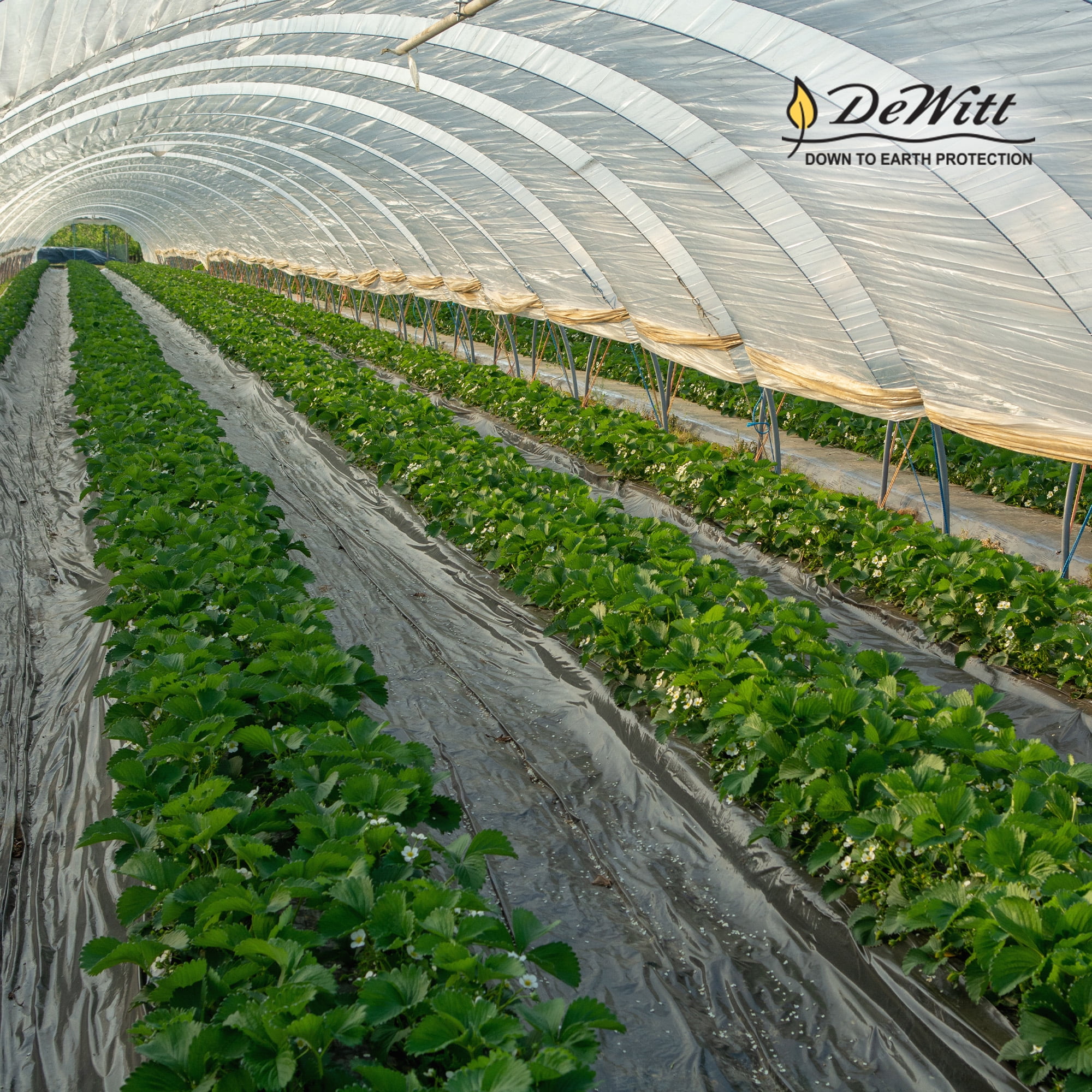 DeWitt 30 Year Professional Weed Control Barrier Fabric 3 oz, Brown, 3 x 100 Feet