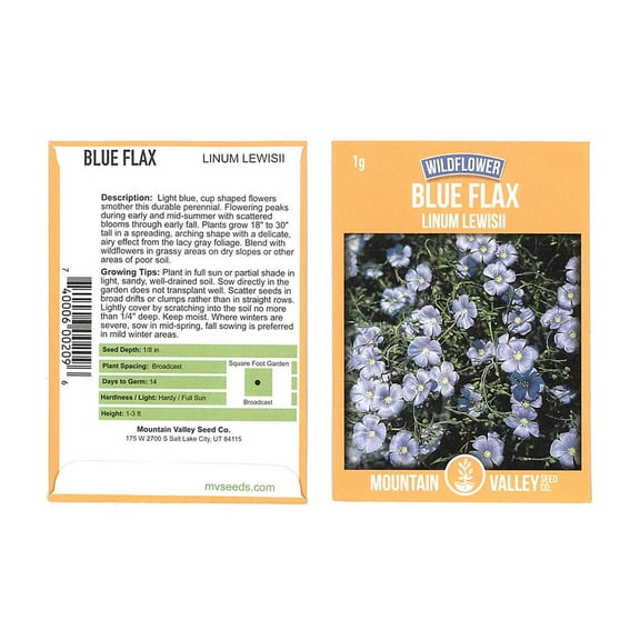 Mountain Valley Seed Company Blue Flax Flower Seeds, Perennial Wildflower