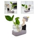 thumbnail image 3 of Estatuilla de moderna para chica, decoración de estatua LED, ornamento con terrarios de extraíble, Bombilla, terrarios de aire - Negro Sunnimix Terrario de plantador de escritorio, 3 of 7