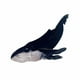 thumbnail image 3 of Pinzas para el cabello Accesorios para el cabello Herramienta de peinado decorativa Pinzas para el cabello, Garra para el cabello de tiburón Negro Yuyangstore pinzas para el cabello, 3 of 8