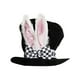 thumbnail image 1 of Sombrero de oreja de conejo de terciopelo,Sombrero de oreja de conejo de terciopelo Sombrero de oreja de conejo Decoración de fiesta de Pascua Rendimiento lleno de energía, 1 of 6