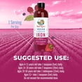 thumbnail image 6 of (3 pack) MaryRuth's Iron Supplement for Women Men & Kids Liquid Iron Supplement for Women Men & Kids 15.22 fl oz, 6 of 10