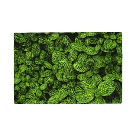 

Placemats Set of 4 Tiny Green Fern Leaves Place mats for Dining Table Indoor/Outdoor Cute Heat Resistant Washable Table Mats(18 x 12 )