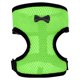 thumbnail image 2 of Xs Adjustable Chicken Leash Vest Green, 2 of 2