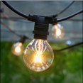 thumbnail image 1 of STRING LIGHTS IN/OUTDOOR BULBS INCLUDED, 1 of 3