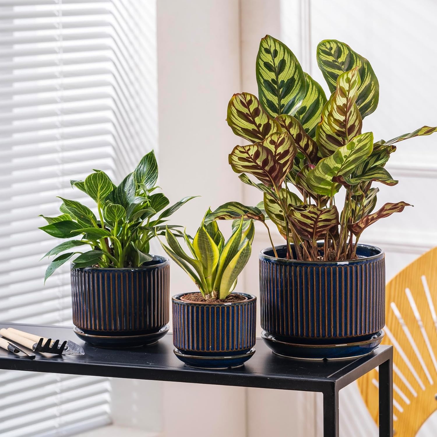 Speckle Gray Ceramic Plant Pot Set of 3 with Saucers, 4.3-6.7 Inch Indoor Flower Pots with Drainage Holes and Pads, Decorative Striped Planter Set for House Plants and Gardening