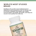 thumbnail image 4 of Double Wood | Astaxanthin astareal 12mg  por softgel 60 Softgel, 4 of 8