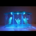 thumbnail image 4 of LED Light Acrylique Trois Splits Betta Fish Bowl Triple Bow Fighting Isolation Breed Box pour Aquarium, 4 of 4